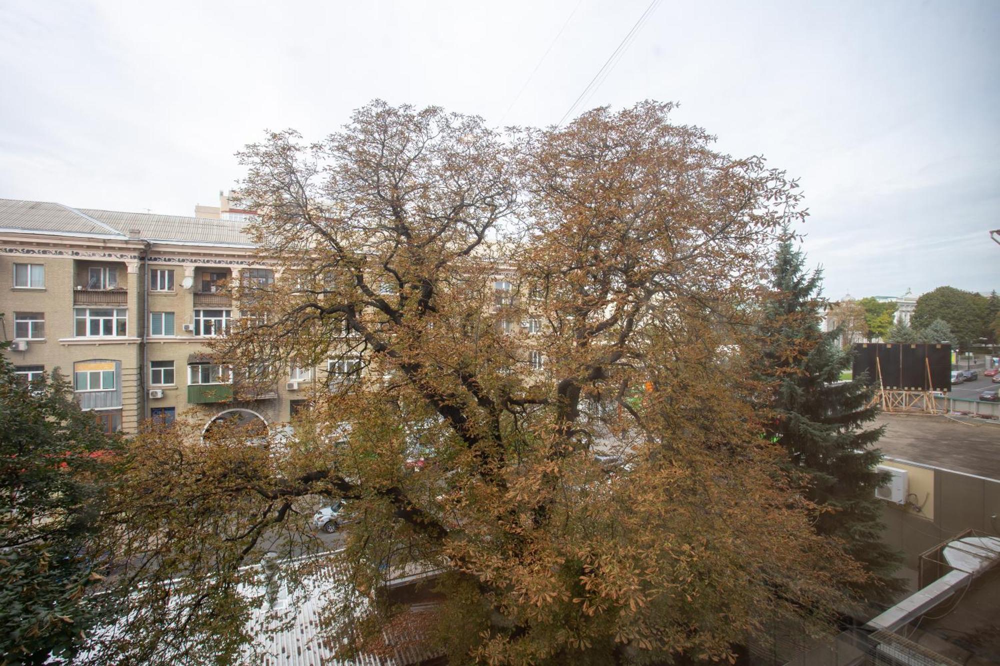 Royal Apartment On Pushkinskaya คาร์คิฟ ภายนอก รูปภาพ
